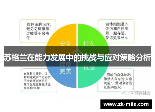 苏格兰在能力发展中的挑战与应对策略分析