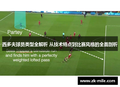 西多夫球员类型全解析 从技术特点到比赛风格的全面剖析