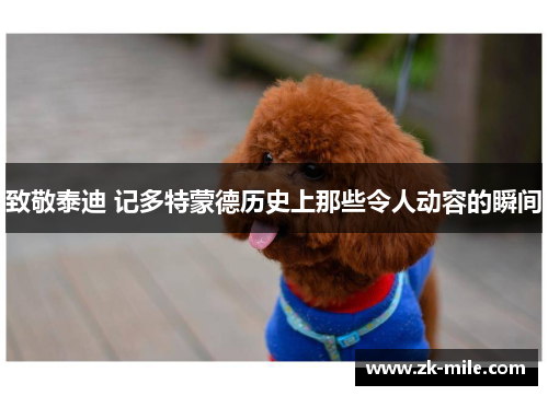 致敬泰迪 记多特蒙德历史上那些令人动容的瞬间