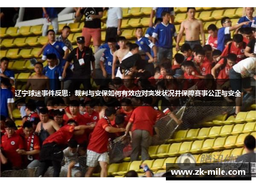 辽宁球迷事件反思：裁判与安保如何有效应对突发状况并保障赛事公正与安全