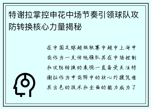 特谢拉掌控申花中场节奏引领球队攻防转换核心力量揭秘