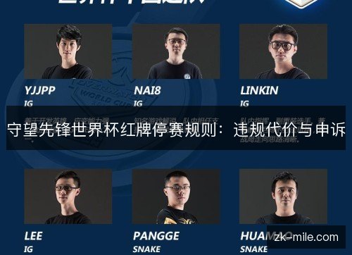守望先锋世界杯红牌停赛规则：违规代价与申诉